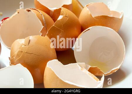 Viele leere Eierschalen von Hühnereiern aus der Nähe Stockfoto
