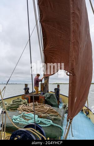 Skipper Ed Gransden takelt die Vorsehung auf 'Edith May', einem historischen Segelschiff, auf einer Reise in die Themse-Mündung, Kent, England. Stockfoto