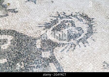 Bodenmosaik des galoppierenden Triton im Tepidarium (Bäder) an der archäologischen Stätte der antiken Stadt Herculaneum, Kampanien, Italien Stockfoto