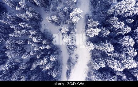 Bergstraße Wald Winter Blick von Drohne Stockfoto