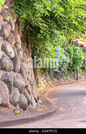 tokio, japan - 15 2021. juni: Nahaufnahme der Steinmauer des Asukayama Parks entlang des kurvigen Abhangs der für ihre Blüte bekannten Asuka-no-komichi-Straße Stockfoto
