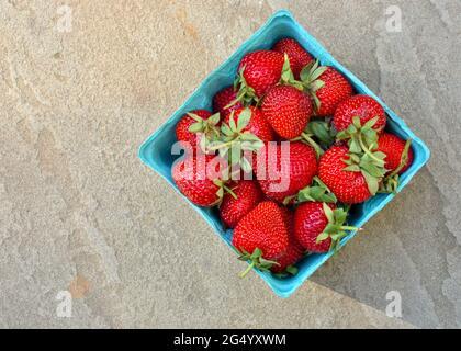 Eine Quart-Schachtel mit frisch gepflückten Erdbeeren auf grauem Schiefergrund. Horizontal. Nahaufnahme. Speicherplatz kopieren. Stockfoto