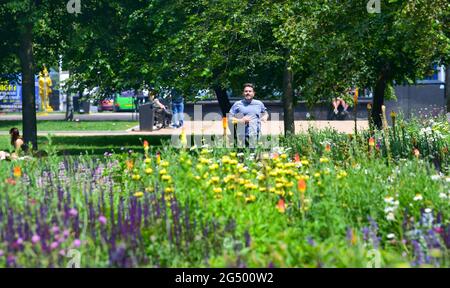 Brighton UK 24. Juni 2021 - EIN Läufer kommt an den Blumen in Valley Gardens Brighton vorbei an einem schönen, warmen und sonnigen Tag. : Credit Simon Dack / Alamy Live News Stockfoto