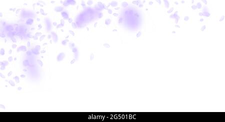 Violette Blütenblätter fallen herunter. Wunderbare romantische Blumen fallen regen. Fliegendes Blütenblatt auf weißem, breitem Hintergrund. Liebe, Romantik Konzept. Entzückend w Stock Vektor