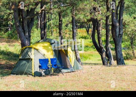 Camping-Zelt und ein paar Stühle in einem malerischen Ort zwischen den Pinien Stockfoto