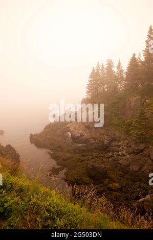 Coastal Trail, Cutler Coast Public Land, Bold Coast Trail, Cutler, Maine, USA Stockfoto