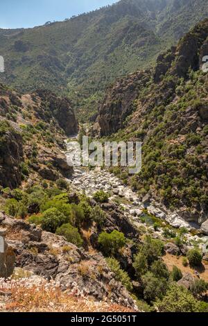 Der Fluss Golo fließt über Felsbrocken durch ein Tal in der Nähe von Castyrla im Zentrum von Korsika Stockfoto