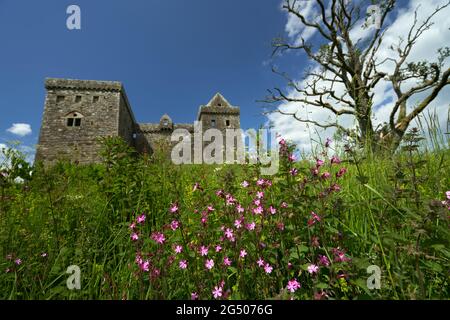 Hermitage Castle eine halbruinierte Burg in der Grenzregion von Schottland. Es steht unter der Obhut des Historic Scotland. Das Schloss hat einen guten Ruf, bot Stockfoto