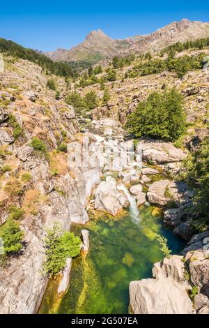 Der Fluss Golo fließt über Felsbrocken durch ein Tal bei Albertacce im Zentrum von Korsika Stockfoto