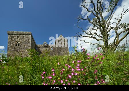 Hermitage Castle eine halbruinierte Burg in der Grenzregion von Schottland. Es steht unter der Obhut des Historic Scotland. Das Schloss hat einen guten Ruf, bot Stockfoto