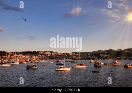 Festgemacht Boote in der Abendsonne im äußeren Hafen von Brixham, Torbay, auch bekannt als "The English Riviera" für sein Klima und Look, South Devon Stockfoto