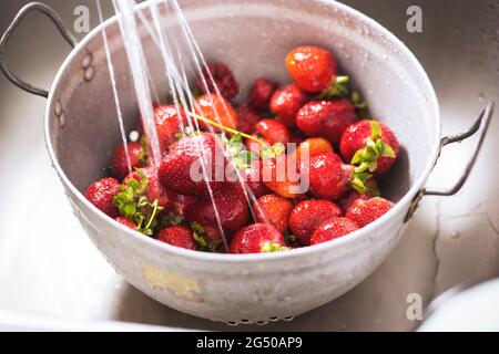 Frische Erdbeeren im Sieb, in Wasser gewaschen Stockfoto