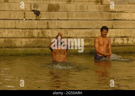 VARANASI, UTTAR PRADESH, INDIEN - FEBRUAR 02 2021: Indischer Mann, der am Ganges-Fluss in Varanasi, Uttar Pradesh, Indien, badet und Opfergaben macht Stockfoto