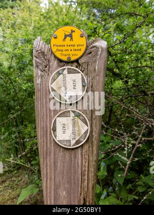 Wegweiser mit Hundekontrolle empfohlen Stockfoto