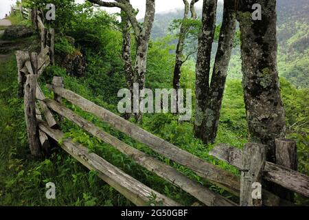 Folgen Sie den Great Craggy Mountains, dem Blue Ridge Parkway, North Carolina. Stockfoto