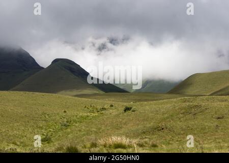 Wolken und Nebel sammeln sich in den Drakensbergen, die alle außer den engsten Gipfeln verdecken Stockfoto