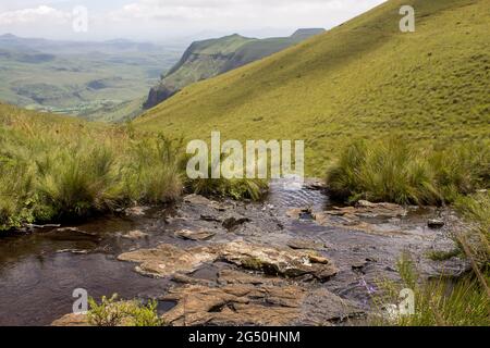 Ein kleiner Gebirgsbach, der in den grasbedeckten Hängen der Drakensberg Mountains in Südafrika eine Klippe hinunter fließt Stockfoto