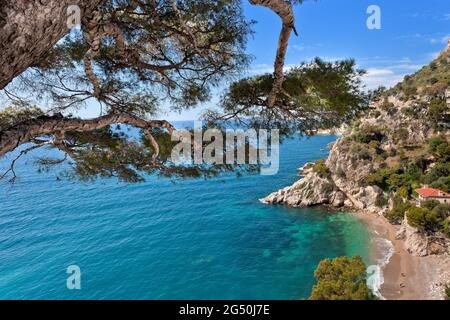 PLAGE DE CAP D'AIL (06) ALPES MARITIMES. FRANKREICH Stockfoto