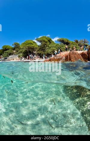 FRANKREICH, CORSE DU SUD (2A) STRAND VON PALOMBAGGIA IN DER NÄHE VON PORTO VECCHIO Stockfoto