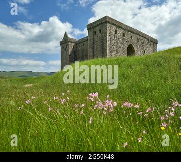 Die Kapelle der Eremitage neben der Eremitage Castle in den Scottish Borders. Stockfoto