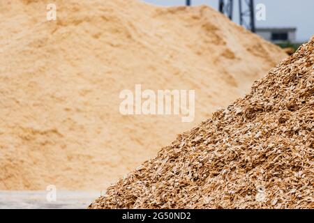 Hausach, Deutschland. Juni 2021. Stapel grober und feiner Sägemehl liegen auf dem Gelände eines Sägewerks. Die Holzpreise auf dem Weltmarkt sind in der jüngsten Vergangenheit stark gestiegen, und diese Veränderung macht sich auch bei Sägewerken im Südwesten bemerkbar. Quelle: Philipp von Ditfurth/dpa/Alamy Live News Stockfoto
