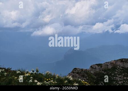 Gelbe und rosafarbene Wildblumen wachsen in den Bergen in der Höhe vor dem Hintergrund steiler Klippen. Schöne Sommerlandschaft des Nationalparks und seiner Flora. Stockfoto