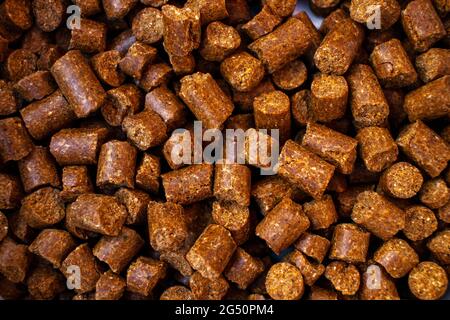 Hundenahrung Stockfoto