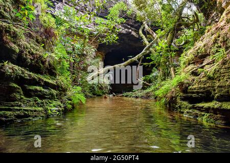 Steinhöhlen-Innenraum mit kleinem Fluss und See, umgeben von tropischer Vegetation des brasilianischen Regenwaldes Stockfoto