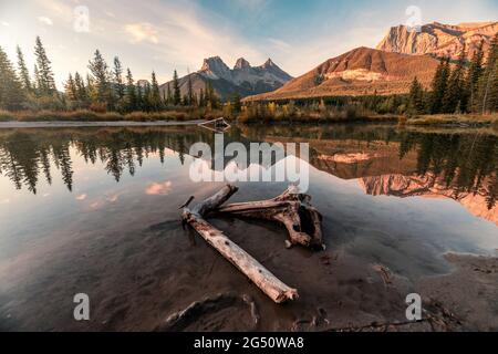 Die Landschaft der Three Sisters Mountains spiegelt den Bogenfluss im Herbstwald bei Canmore, Kanada Stockfoto
