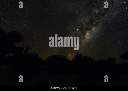 Nachthimmel mit Milkyway-Galaxie über Bäumen Silhouetten aus Anakao, Madagaskar, heller Jupiter, der in der Nähe des Sternbildes Ophiuchus sichtbar ist Stockfoto