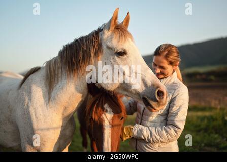 Weißes arabisches Pferd, Herbstnachmittag, Detail auf dem Kopf, unscharf lächelnde junge Frau in warmer Jacke streichelt ein weiteres braunes Tier dahinter Stockfoto