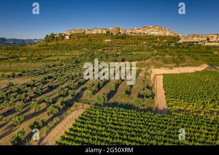 Luftaufnahme des Dorfes Horta de Sant Joan und der umliegenden Kulturfelder (Terra Alta, Tarragona, Katalonien, Spanien) Stockfoto