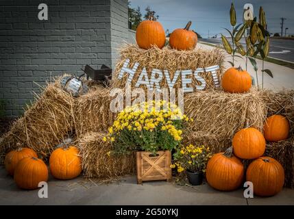 Herbstdisplay im Freien am Eingang eines Bauernmarktes mit einem Erntethema für die Herbstprodukte zum Verkauf Stockfoto