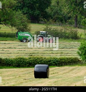 Heu- oder Silageherstellung (Landwirt im landwirtschaftlichen Traktor bei der Arbeit auf dem Feld, Ballenpresse ziehen, trockenes Gras sammeln und runden schwarzen Ballen verpackt - Yorkshire England, Großbritannien. Stockfoto