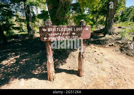 Wegweiser im Bryce Canyon National Park - Bristlecone Loop und Yovimpa Point Wegbeschreibungen für Wanderer Stockfoto