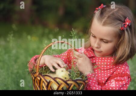 Kleine niedliche Mädchen mit einem Korb mit Baby Enten im Freien Stockfoto