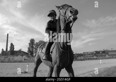 Belgrad, Serbien, 2. Okt 2016: Jockey Željko Limeni Racić posiert im Sattel auf einem Rennpferd Stockfoto