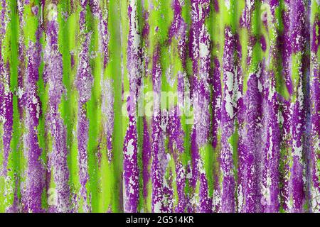 Bunt bunt bunt bunt abgeschälte grüne und violette Farbschichten auf verzinktem Stahlblech - Hintergrund und Textur im Vollformat Stockfoto