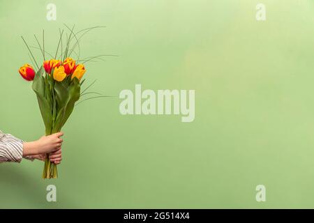 Ein Blumenstrauß in der Hand eines Mannes auf grünem Hintergrund. Herzlichen Glückwunsch zum Feiertag, dem 8. März, Valentinstag oder Geburtstag. Bunte Tulpen Stockfoto