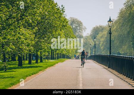 Unbekannte Reiter, von hinten gezeigt, radeln an einem schönen Frühlingsmorgen auf einem Pfad im Park. Reihen von Bäumen und Laternenpfosten schaffen führende Linien. Stockfoto