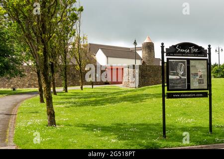 Das National Folk Theatre Siamsa Tire im Stadtpark in Tralee, County Kerry, Irland, Stand Juni 2021 Stockfoto