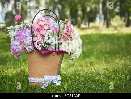 Blumenstrauß aus Phlox in einem Design-Pappkarton auf einem Hintergrund aus Parkgras. Stockfoto