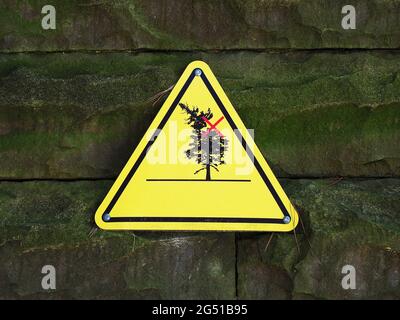 Gelbes Schild warnt vor der Gefahr von fallenden Bäumen, die an einer Steinmauer hängen Stockfoto