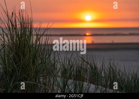 Nordseeinsel Langeoog, Frühsommer, Strand, Dünenlandschaft, Sonnenuntergang, Niedersachsen, Deutschland, Stockfoto