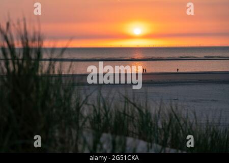 Nordseeinsel Langeoog, Frühsommer, Strand, Dünenlandschaft, Sonnenuntergang, Niedersachsen, Deutschland, Stockfoto