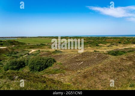 Nordseeinsel Langeoog, Frühsommer, Dünenlandschaft im Inselinneren, Niedersachsen, Deutschland, Stockfoto