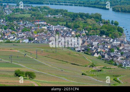 Stadt und Weingärten von der Niederwald-Gedenkstätte aus gesehen, Rüdesheim, berühmtes Weindorf im Rheingau Landschaft am Rhein, Hessen, Deutschland, Europa Stockfoto