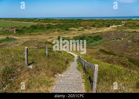 Nordseeinsel Langeoog, Frühsommer, Dünenlandschaft im Inselinneren, Niedersachsen, Deutschland, Stockfoto