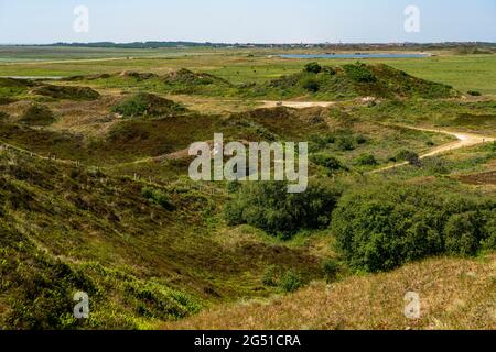 Nordseeinsel Langeoog, Frühsommer, Dünenlandschaft im Inselinneren, Niedersachsen, Deutschland, Stockfoto