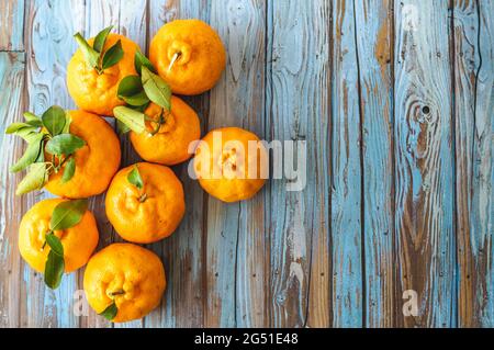 Mandarine oder Clementinen Früchte auf Holz Hintergrund. Frische Mandarinenorangen Früchte oder Mandarinen mit Blättern Stockfoto